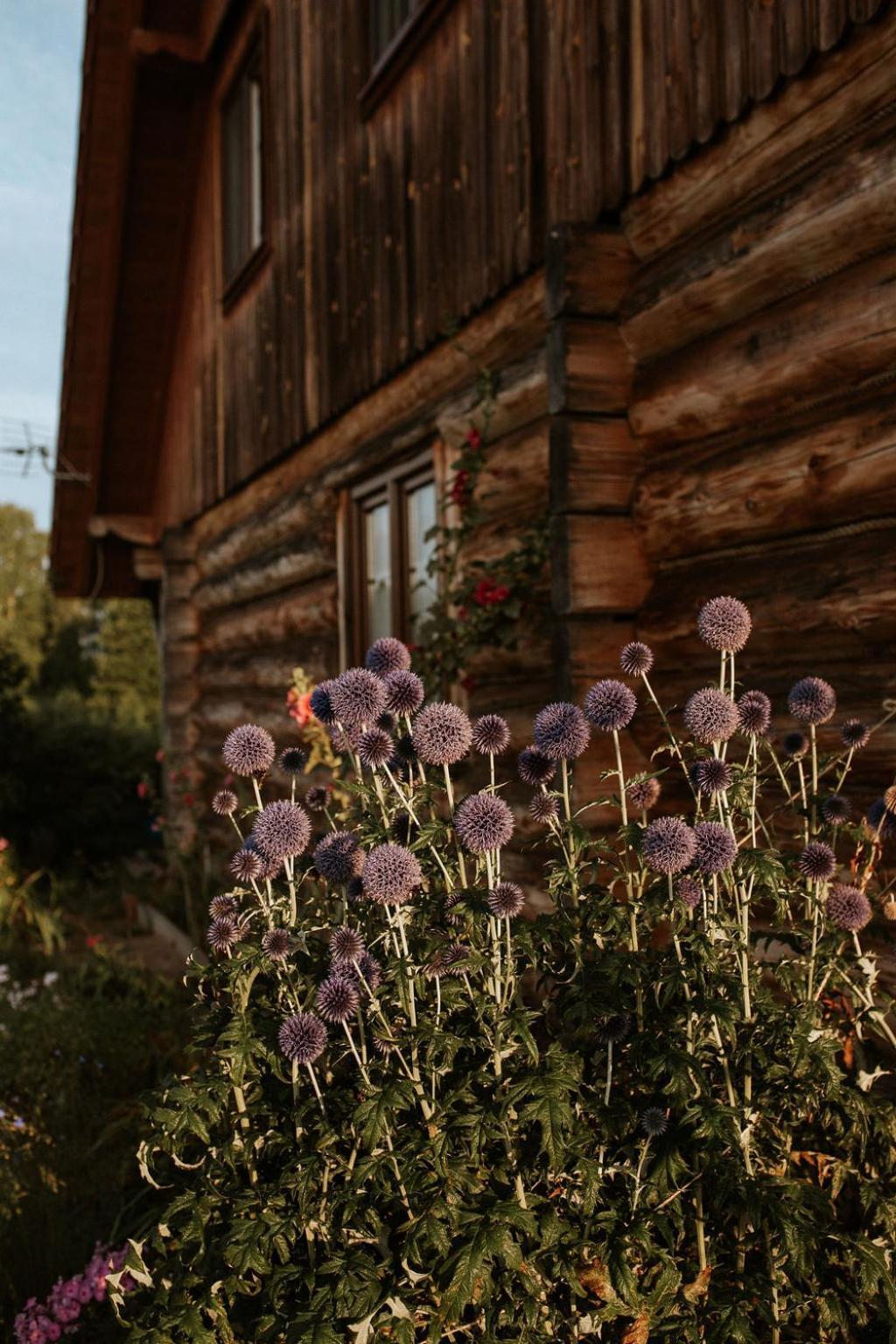 Dom Gościnny Sowia Stópka Miłomłyn Exterior foto
