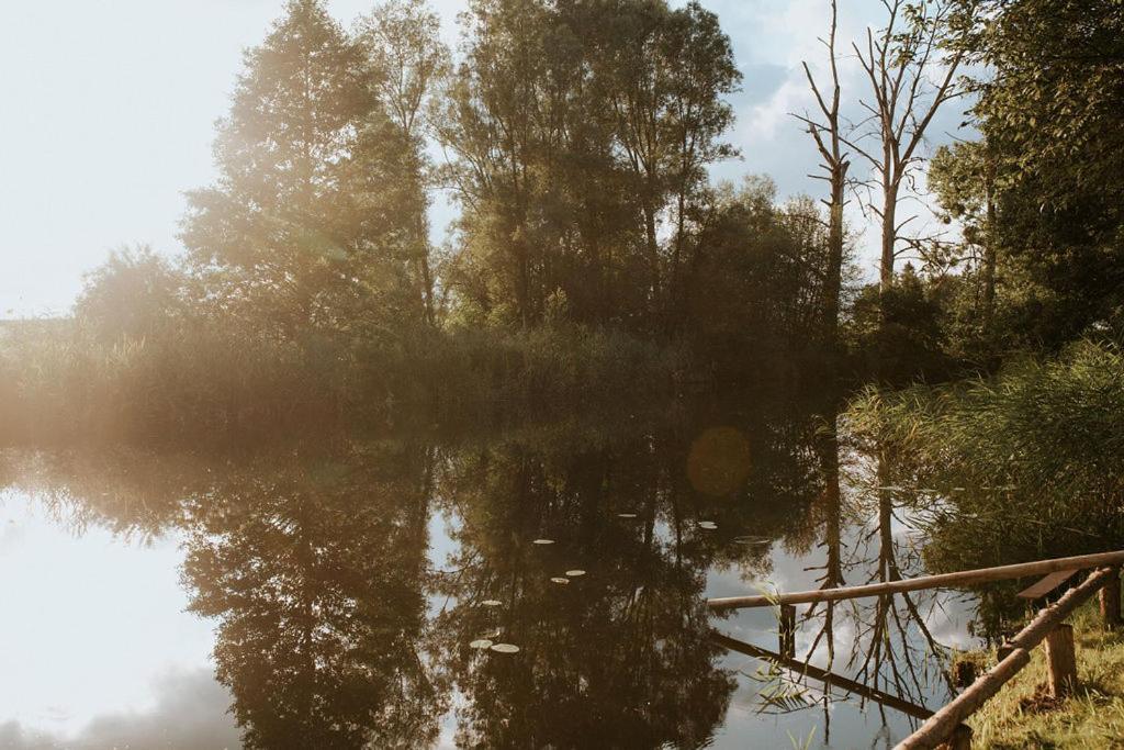 Dom Gościnny Sowia Stópka Miłomłyn Exterior foto