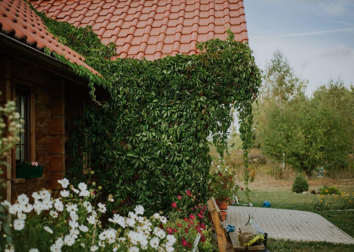 Dom Gościnny Sowia Stópka Miłomłyn Exterior foto