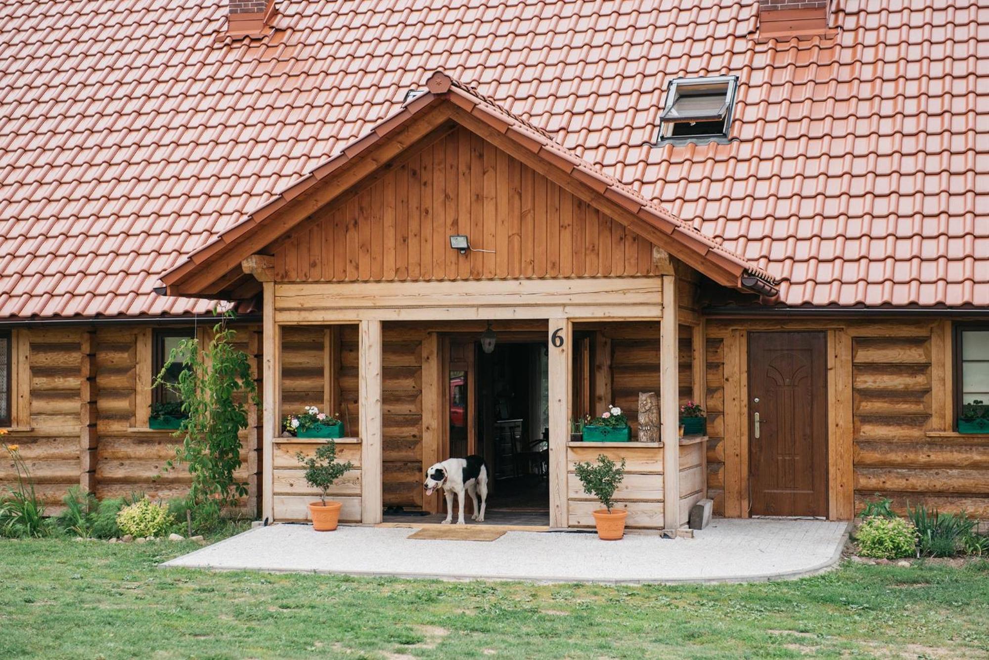 Dom Gościnny Sowia Stópka Miłomłyn Exterior foto